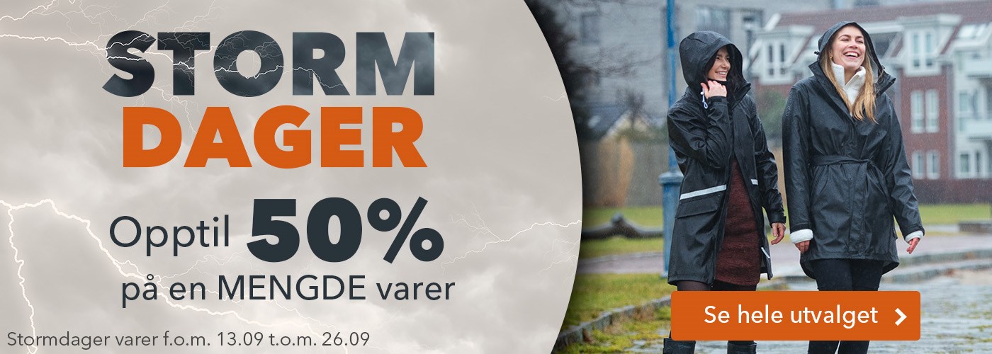 Stormdager