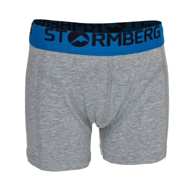 Ersland boxer gutt 1-7 Grey Barn - 1