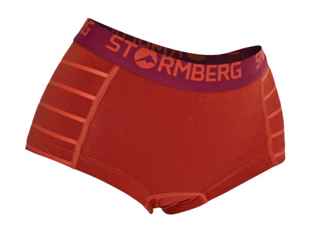 Dalset boxer Red Dame - 1