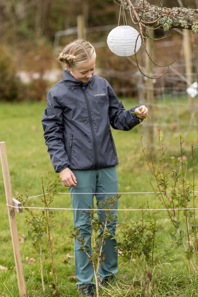 Vindedal jakke barn 8-14 Grey Barn - 1