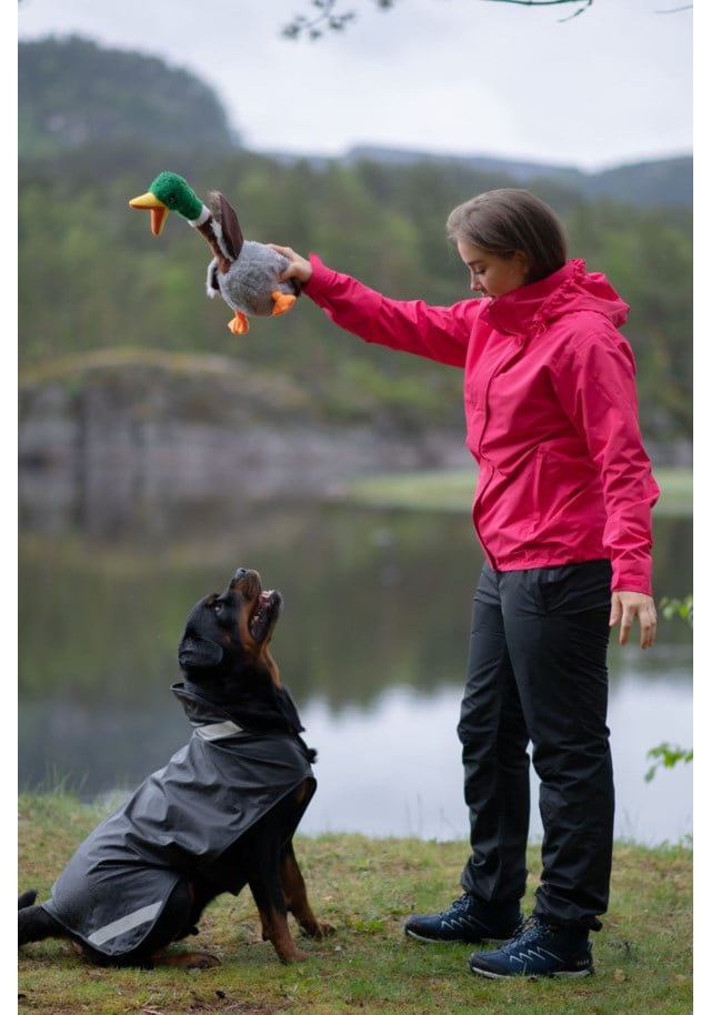 stormberg Skrelia resirkulert skallbukse dame stormberg Skrelia resirkulert skallbukse dame