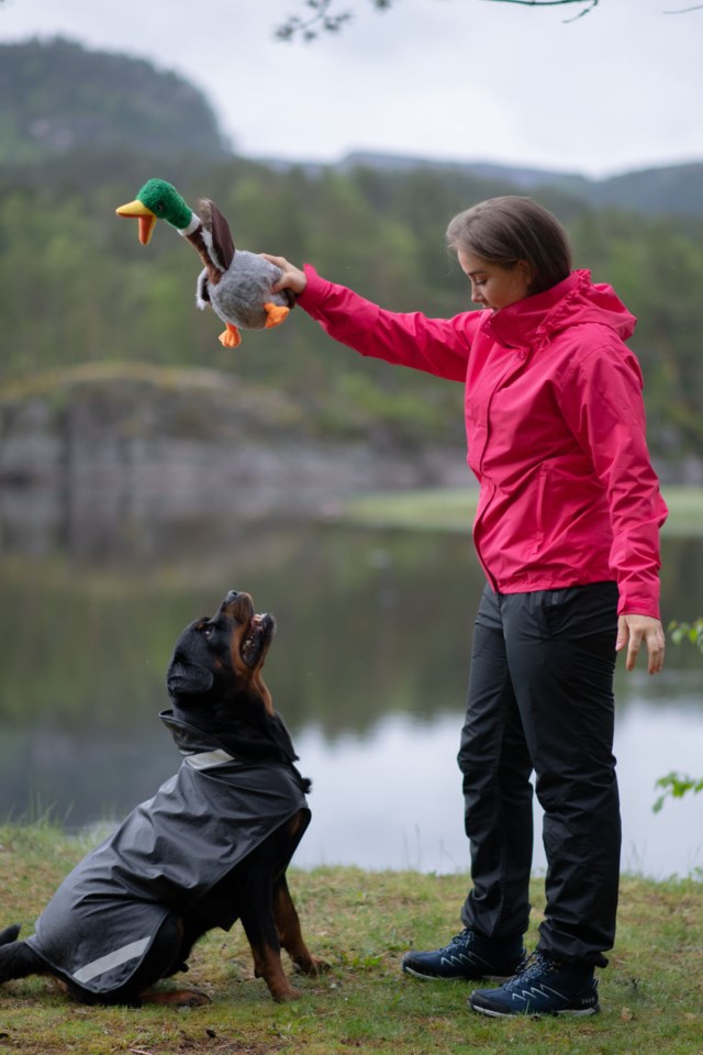 Skrelia resirkulert skallbukse Black Dame - 1