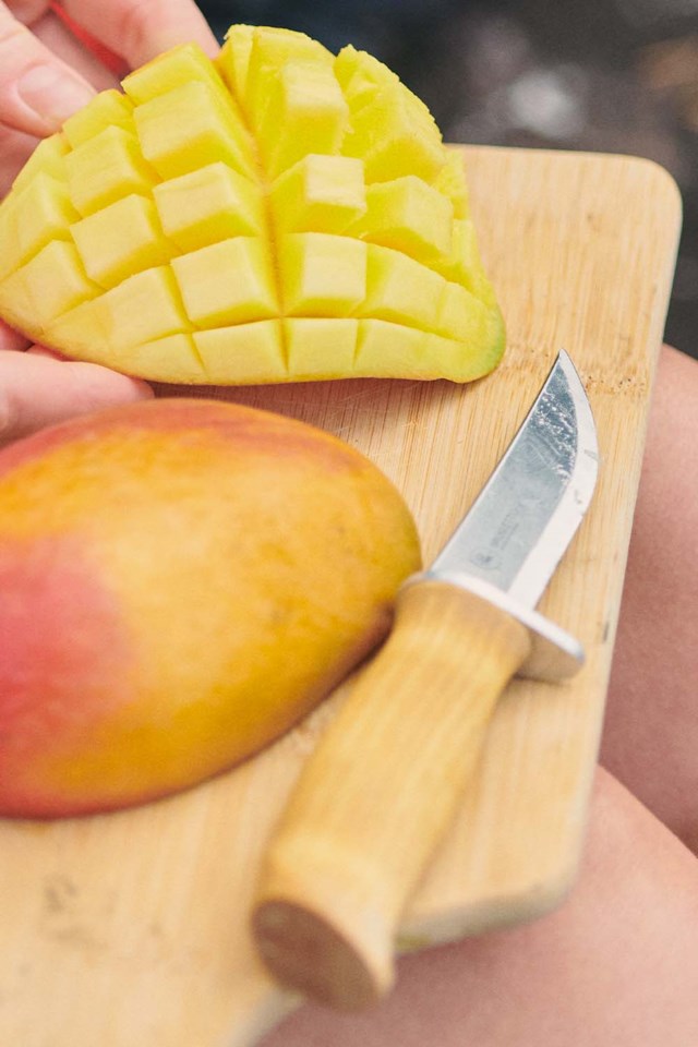 Brusletto kniv Speider spiss tupp Multicolor Utstyr - 1