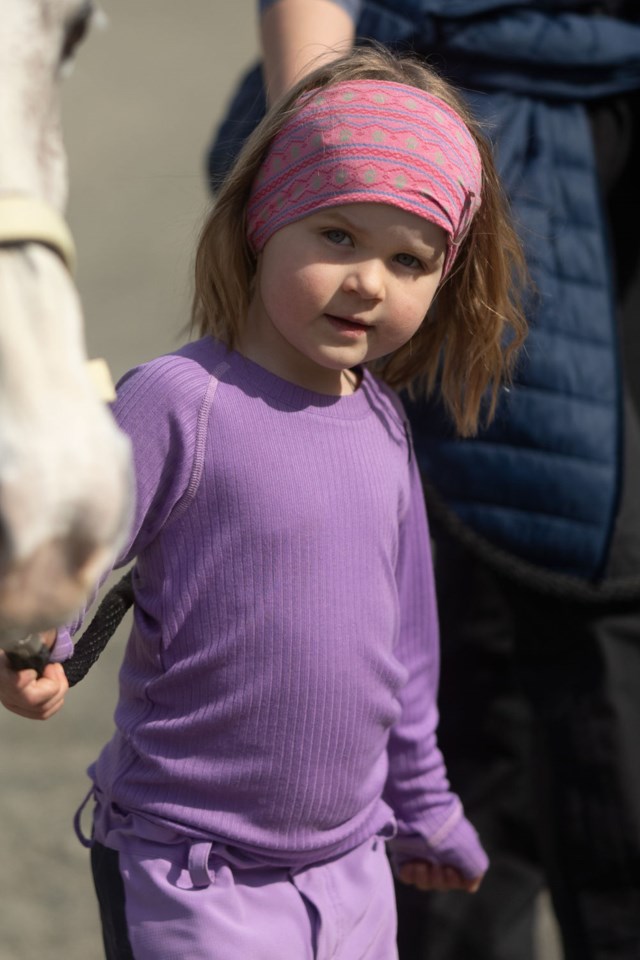 Sollia trøye barn 1-7 Purple Barn - 1