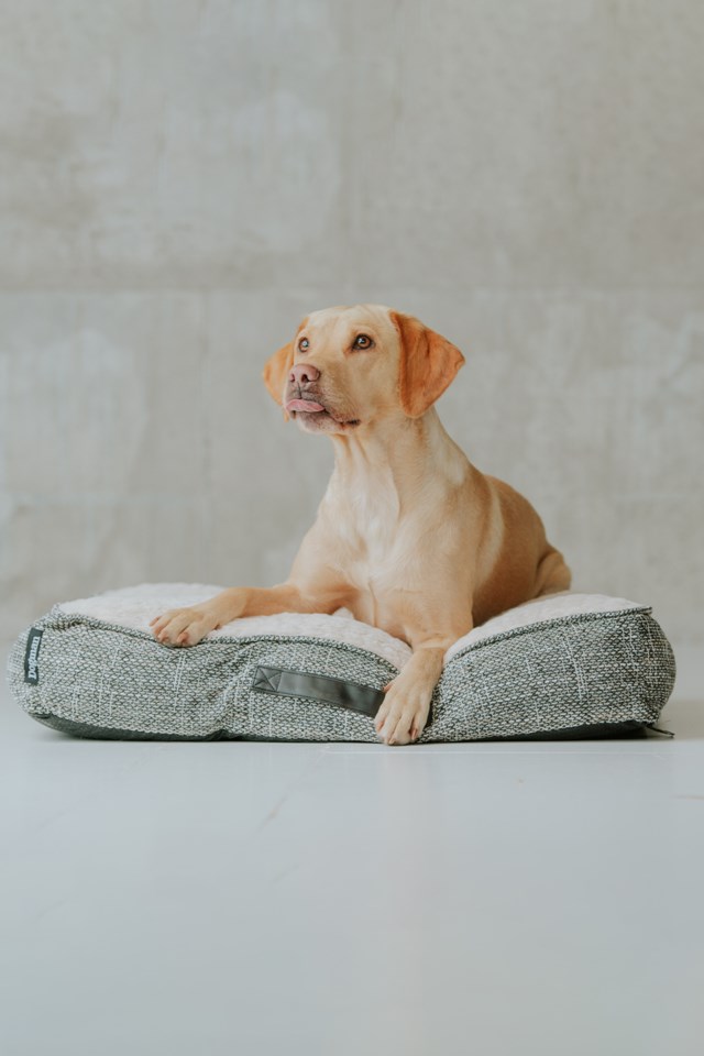 Madrass Mysan Memory foam ekstra stor Grå - 1