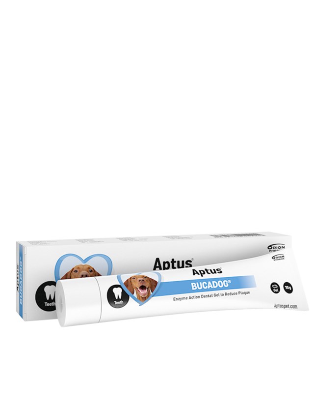 Aptus Bucadog tannkrem 70g No color - 1