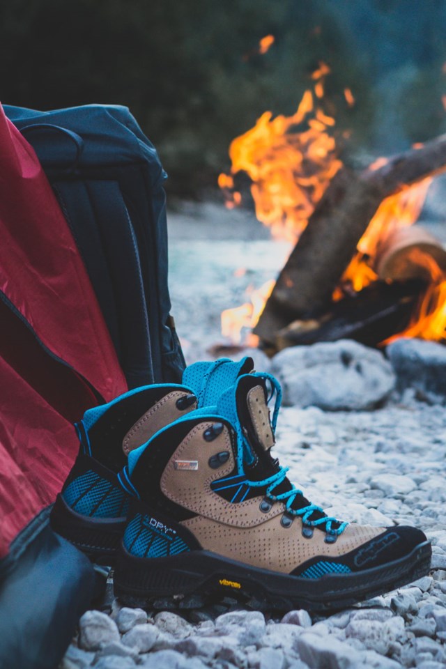 Alpina Iris tursko Brown Dame - 1