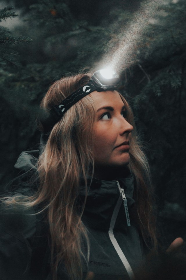 Hasvik LED hodelykt 150 lm Grey Utstyr - 1