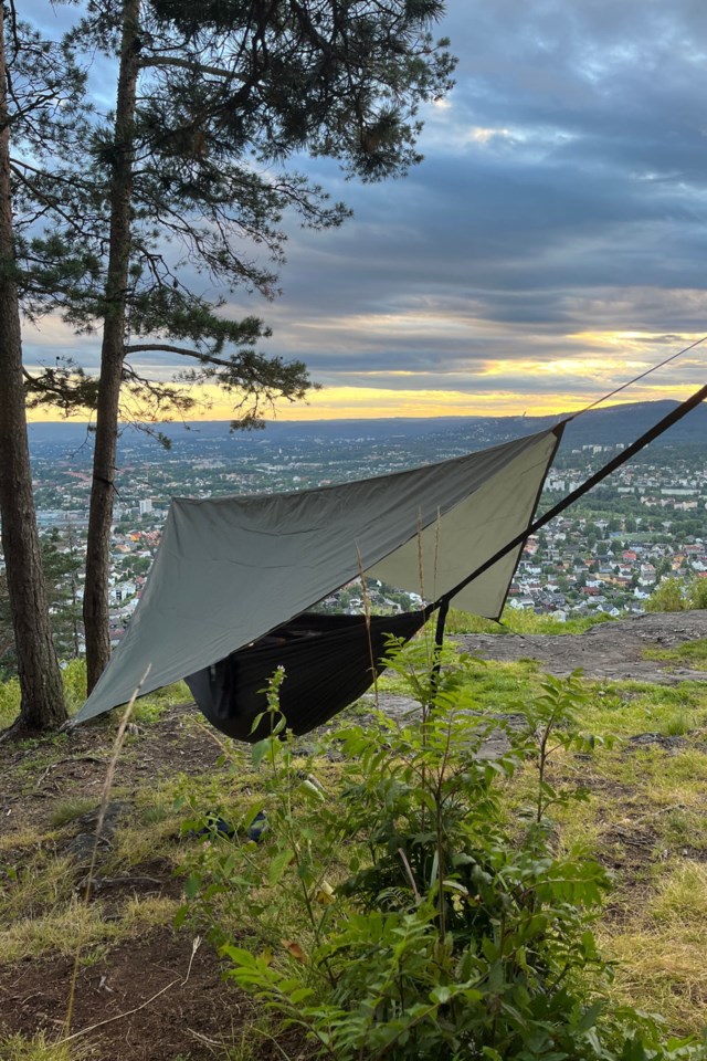 Fonnabu tarp Thyme - 1