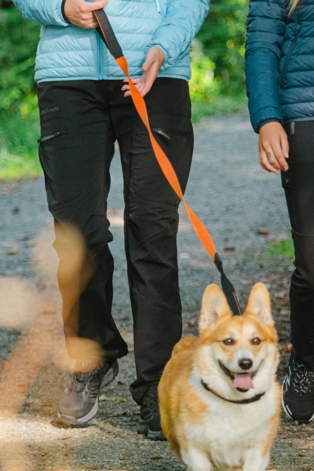 Dogman Sportkobbel Emmi Oransje - 1