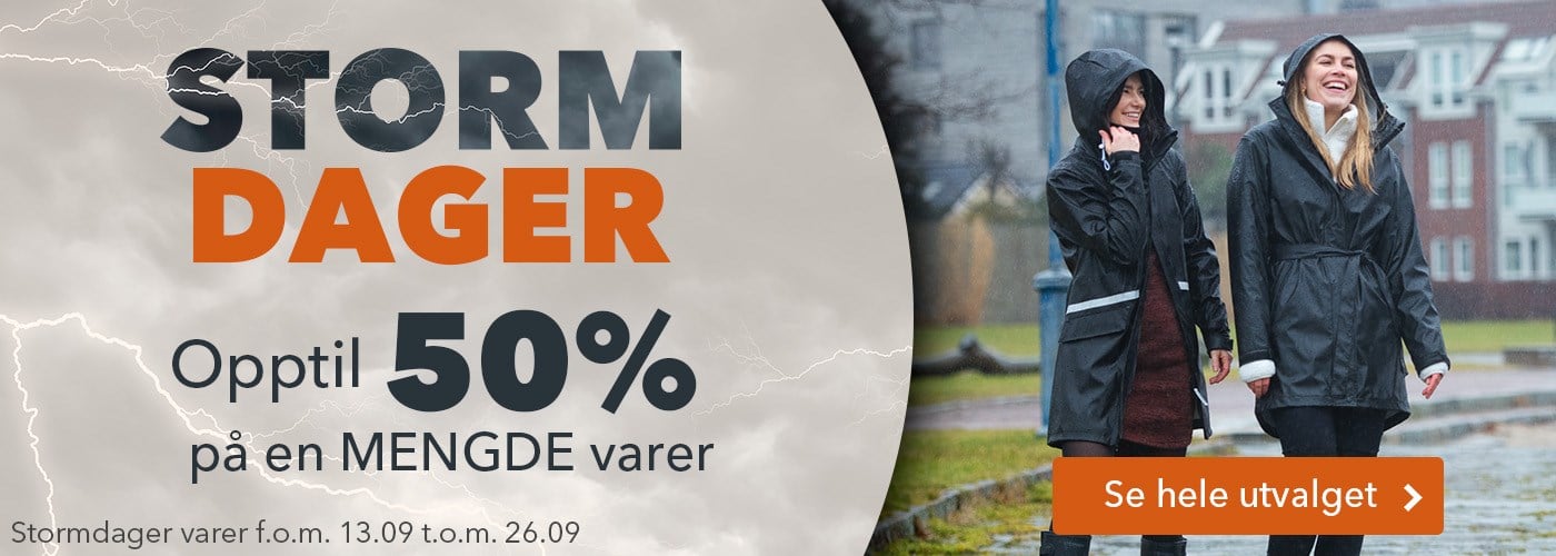 Stormdager